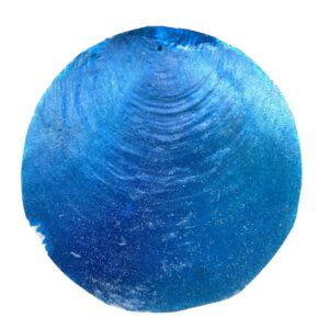 Capiz schelpen Blauw